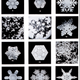 Illustration for article titled The 19th-Century Photography Trick That Changed How We See Snow